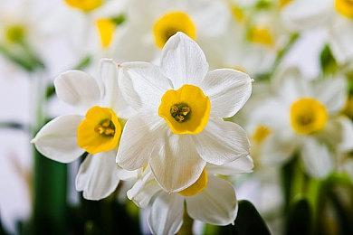 《英雄传说：黎之轨迹2》全新截图 中文版年内发售